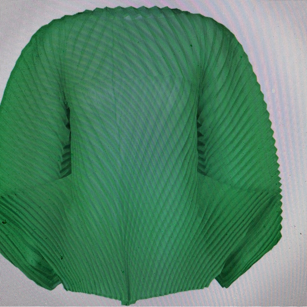 NWT Issey Miyake Wander collection 2025 Green Pleated Women's Top Japan